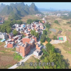 ������365�� 2019��08��19������һ