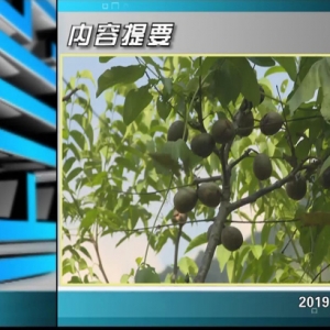 ������365�� 2019��09��16������һ