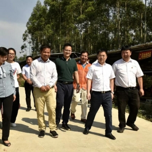 �����ĵ������翪չ��ƶ�������