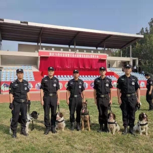 ���й�70���������ڱ���������