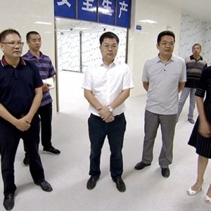 ������Ҫ�󣺼ӿ�������Ŀ���� �ƶ���ҵ��չ����