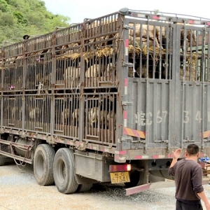 ���������仧�󻯺����ƶ��ҵ����ʾ����