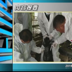 ������365��2019��10��21������һ