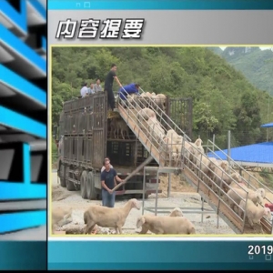 ������365�� 2019��10��25��������