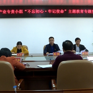 ��ʤ����ƶ����ָ�Ӳ���ҵר��С����ר�⵳��