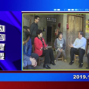 �������š�2019��11��07��������