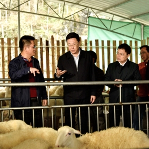 �����ң� �����Ӯ���ƶ��������ƶ����ս