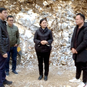 Τ���͵��󻯵�����ƶ���Ṥ��