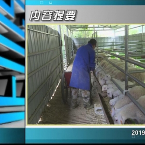 ������365�� 2019��12��04��������