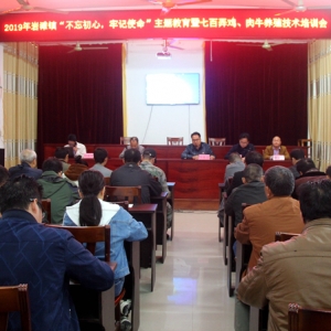 ��̲��չ��ֳ������ѵ��������ƶ����