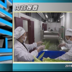 ������365�� 2019��12��11��������