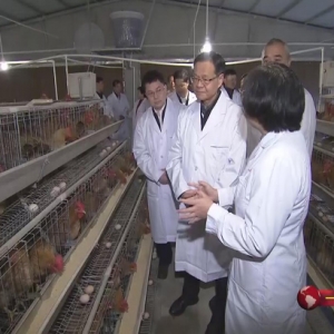 ��һ��Ҫ�š�2020��01��11��������