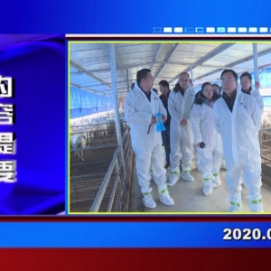 �������š�2020��01��16��������