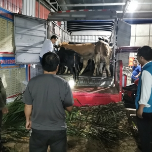 ����׬����ţ��Ǯ��