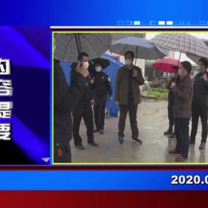 �������š�2020��02��03������һ