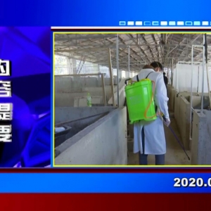 �������š�2020��02��11�����ڶ�