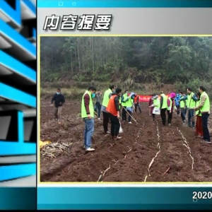 ������365�� 2020��02��14��������