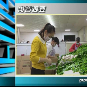 ������365�� 2020��02��19��������