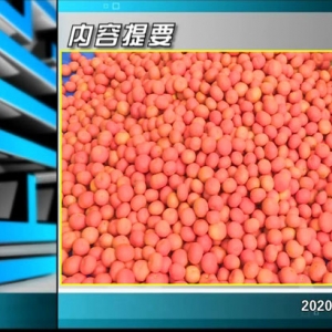 ������365�� 2020��03��04��������