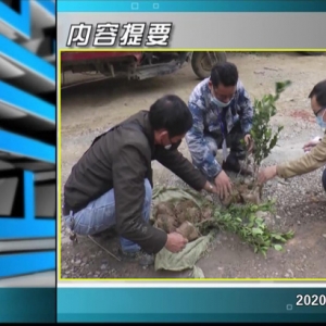 ������365�� 2020��03��06��������