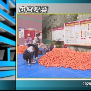 ������365�� 2020��04��03��������