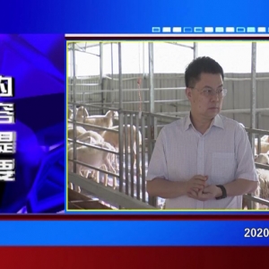 �������š�2020��05��06��������