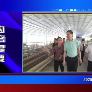 �������š�2020��06��10��������