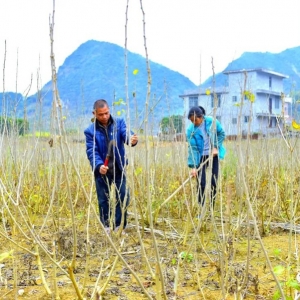 ���򵥣�������һ����ƶ�ˣ�