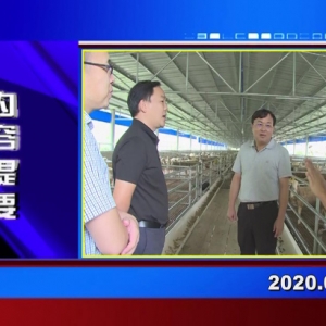 �������š�2020��09��17��������