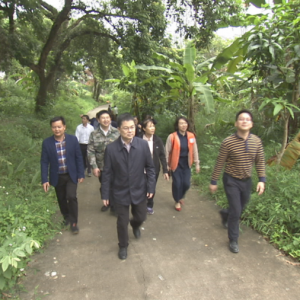 �����ĵ������߷õ���ʱǿ����ȷ����ƶ����Բ���չ� ����ı�����ο���