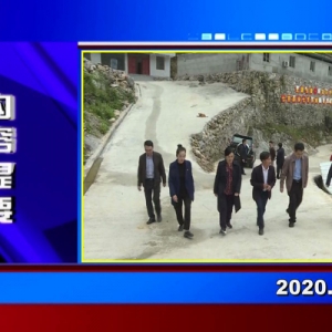 �������š�2020��11��02������һ