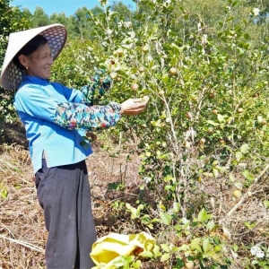 ��ʤ��ƶ���� ����ȫ��С�� | �������� �����Ͳ��� ����һ����