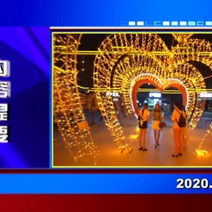 �������š�2020��11��12��������