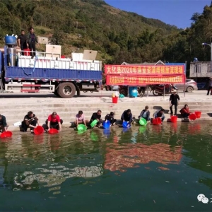 ��̲�����ˮ����ֳ����62��β����