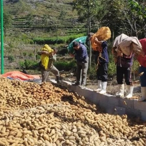 �����磺��������ҵ����ƶ�¸���������