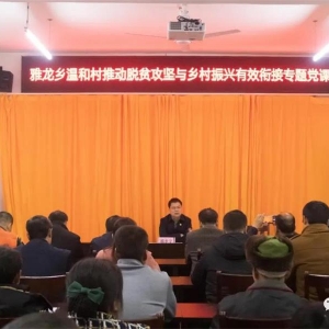 �����ĵ��������ºʹ���ר�⵳�� �ƶ���ƶ���������������Ч�ν�