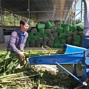 ����ʤ��ƶ���� ����ȫ��С���� ��־�ģ�������֯���Ҹ�С������