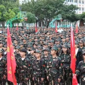 ��̲���о��С���ɫ������������ѵ�