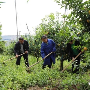 ����ʤ��ƶ���� ����ȫ��С������������ɽ�ֹ��ֳ���ˮ��֮�硱