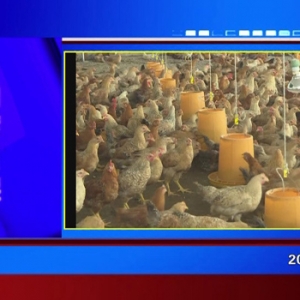 �������š�2020��12��04��������