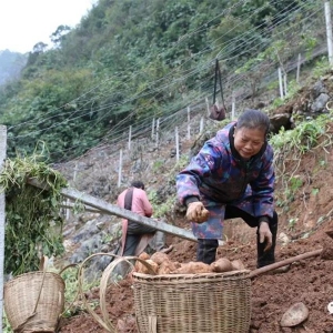 СС������ �����¸�·