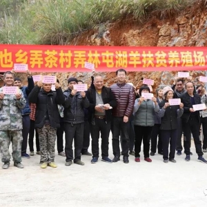 ����ʤ��ƶ���� ����ȫ��С���� ��Ҳ��Ū��壺��ƶũ��ϲ�ֺ�