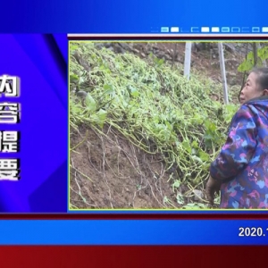 �������š�2020��12��14������һ