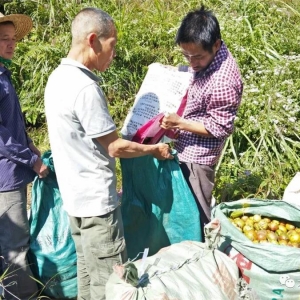 ����ƶ�е��� �ܽ�����㡿 ���Ͳ��ҵ����һ������