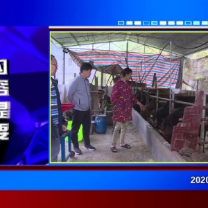 �������š�2020��12��23��������