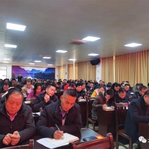 �󻯽���������ص㡱�ƽ�����ί����