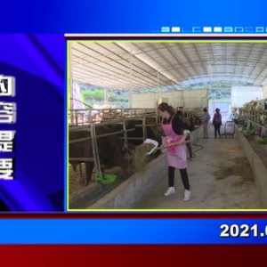 �������š�2021��01��21��������