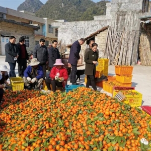 Τ���͵��󻯵�������ò���칤��