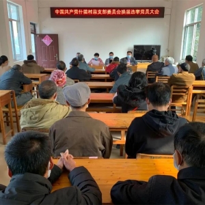 ���弶��֯���졿���쵼��������ָ���嵳��֯����ѡ�ٹ���