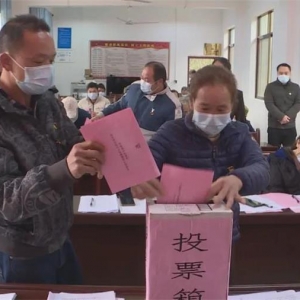 ���弶��֯���졿Ǽ����������Բ����ɴ嵳��֧������ѡ��